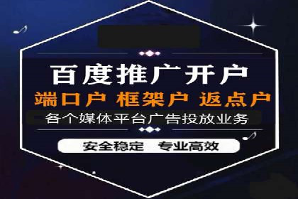 成功运用SEM服务实现品牌推广的案例分析